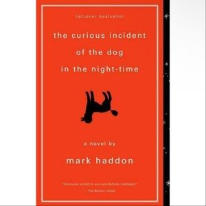 The Curious Incident of the Dog in the Night-Time